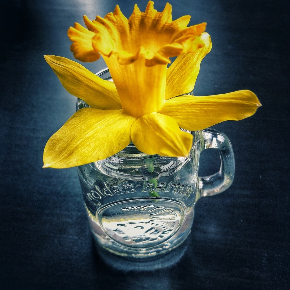 Meet your Posher, Nathan